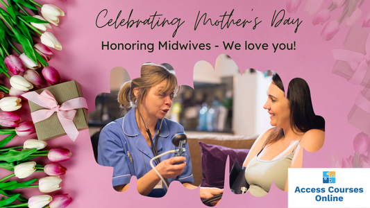 Midwife consulting with a woman in a hospital setting, celebrating Mother's Day. Image for blog post about accessing midwifery courses