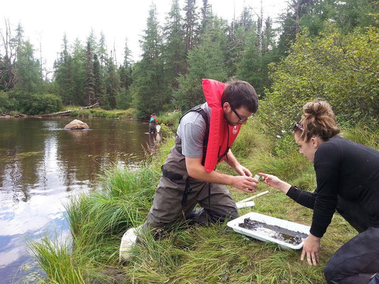 environmental science access course online